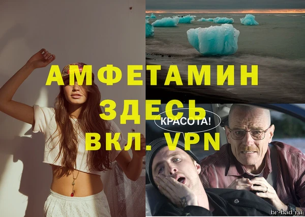 MESCALINE Аркадак