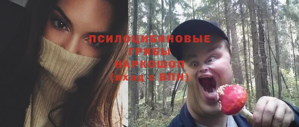 первитин Сатка
